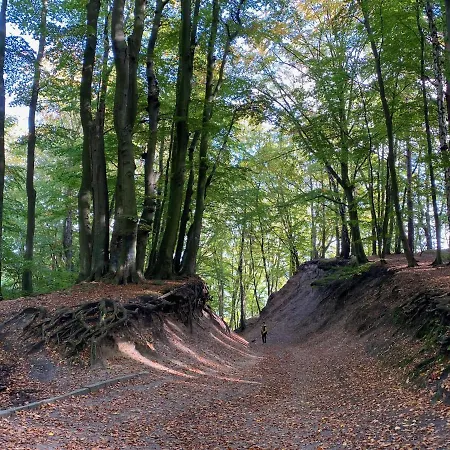 Apartament Przy Plazy Redlowo Apartament *