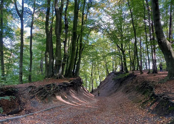 Apartament Przy Plazy Redlowo Apartament *